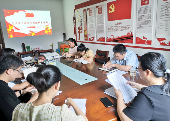 九州体育(JiuZhou Sports)官方网站党支部召开党史学习教育专题组织生活会