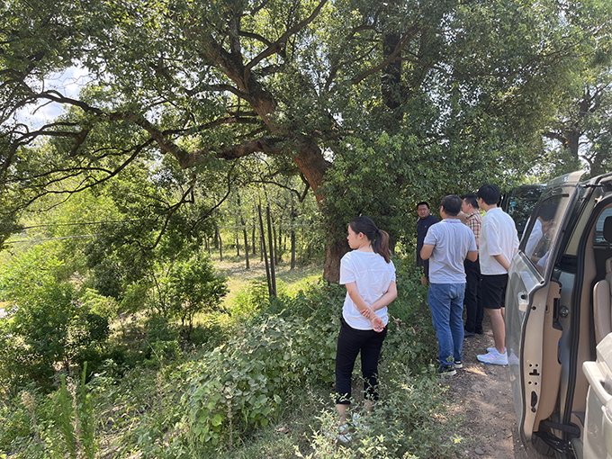 九州体育(JiuZhou Sports)官方网站组织召开万安县通津河河流整治工程项目初步设计评审会