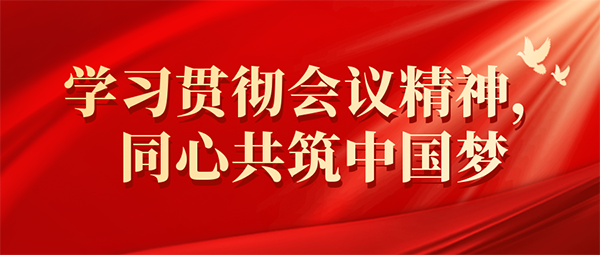 九州体育(JiuZhou Sports)官方网站党支部开展学习党的二十大报告系列活动